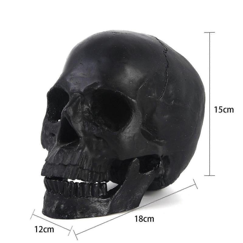 Halloween Decorations Halloween Skeleton Model Halloween Skeleton Head Human Skull Model Skeleton Collectible Figurines Human Skull Head1pcsblack