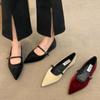 Fashion Pointed Flat Shoes for Women Spring Autumn 2025 New Casual Suede Pointed Mary Jane Shoes Plus Size 41 42 43 Women's Shoes