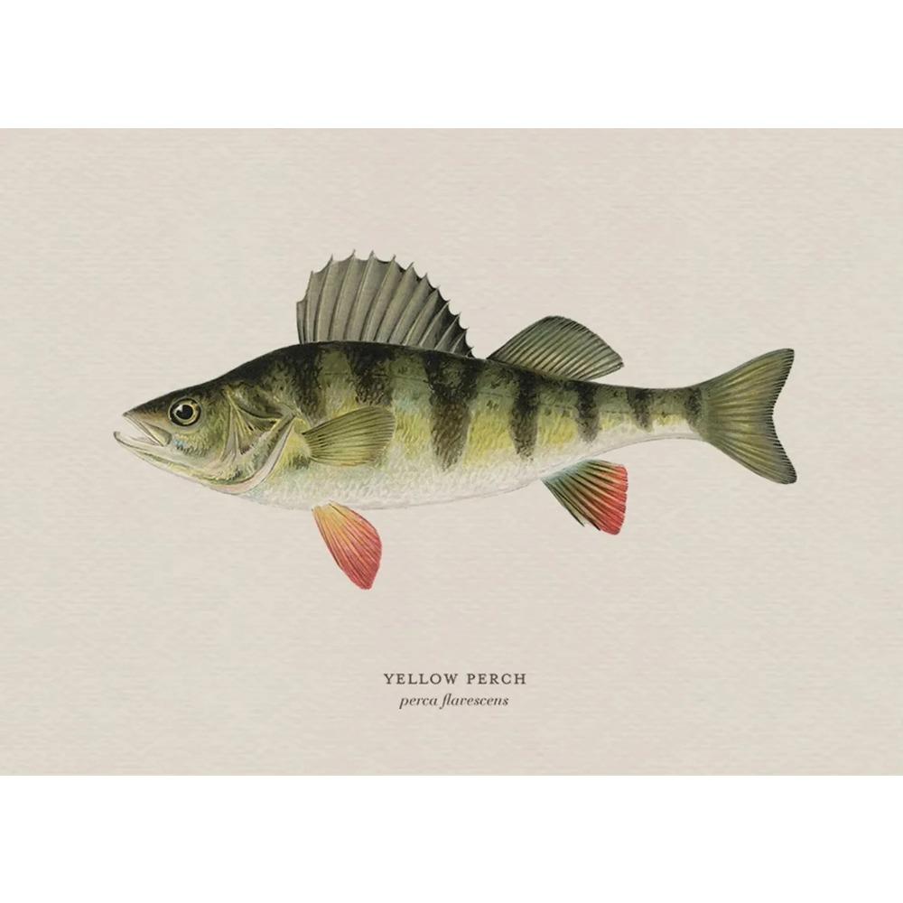 Vintage Bass Fish Trout Fly Fishing Posters Prints Canvas Painting Fisherman Retro Wall Art Picture for Living Room Home Decor