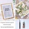 Nordischer Stil Geometrischer Metall-Glas-Fotorahmen für Trockenblumen - DIY Geprägte Pflanzen specimen Anzeige, Kreatives Gold, Größen 4x6 & 7 Zoll
