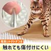 Pet Kenkodo Cat Prickly Sheets 8 Cat Prevents Intrusion and Tampering Prickly Repellent, (Transparent, Sheets) Mat, (Indoor/Outdoor),