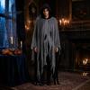 Vampiric Character Outfit Halloween Hooded Cloak, Medieval Gothic Wizard Vampires Cape with Black Mysterious Costume Accessory Mesh, Full Length