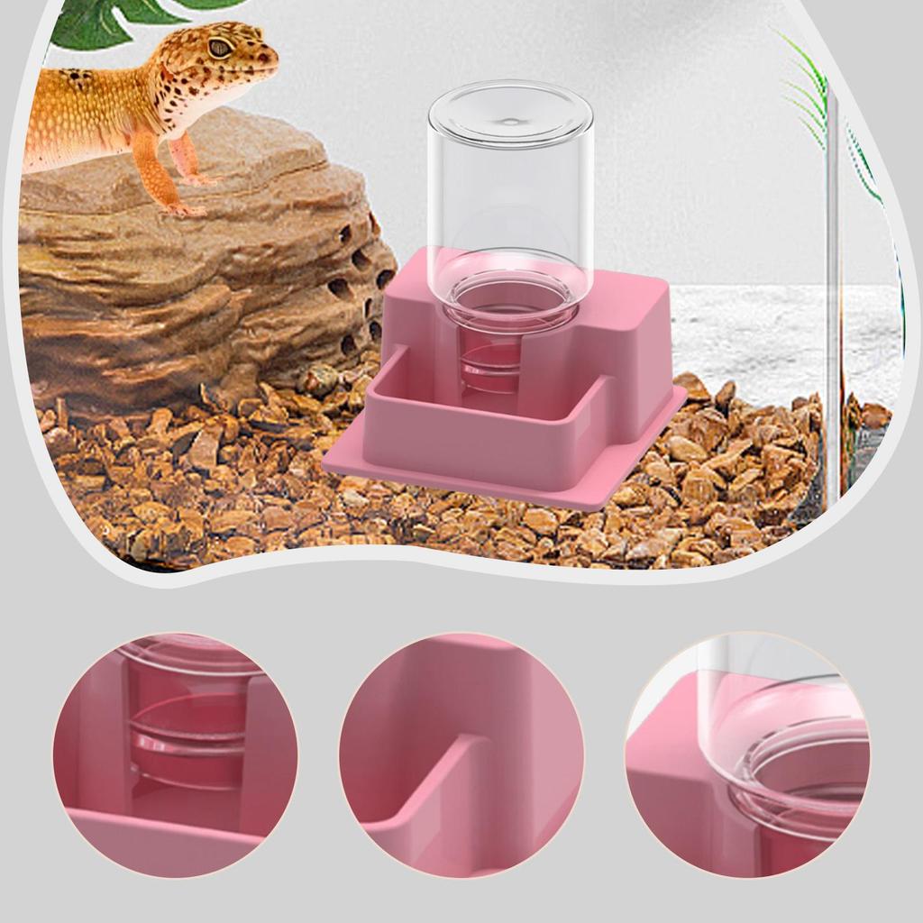 Reptile Feeder Automatic Water Dispenser with Bottle Versatile Terrarium Decor Turtle Water Dish for Frog Gecko Reptiles Snake