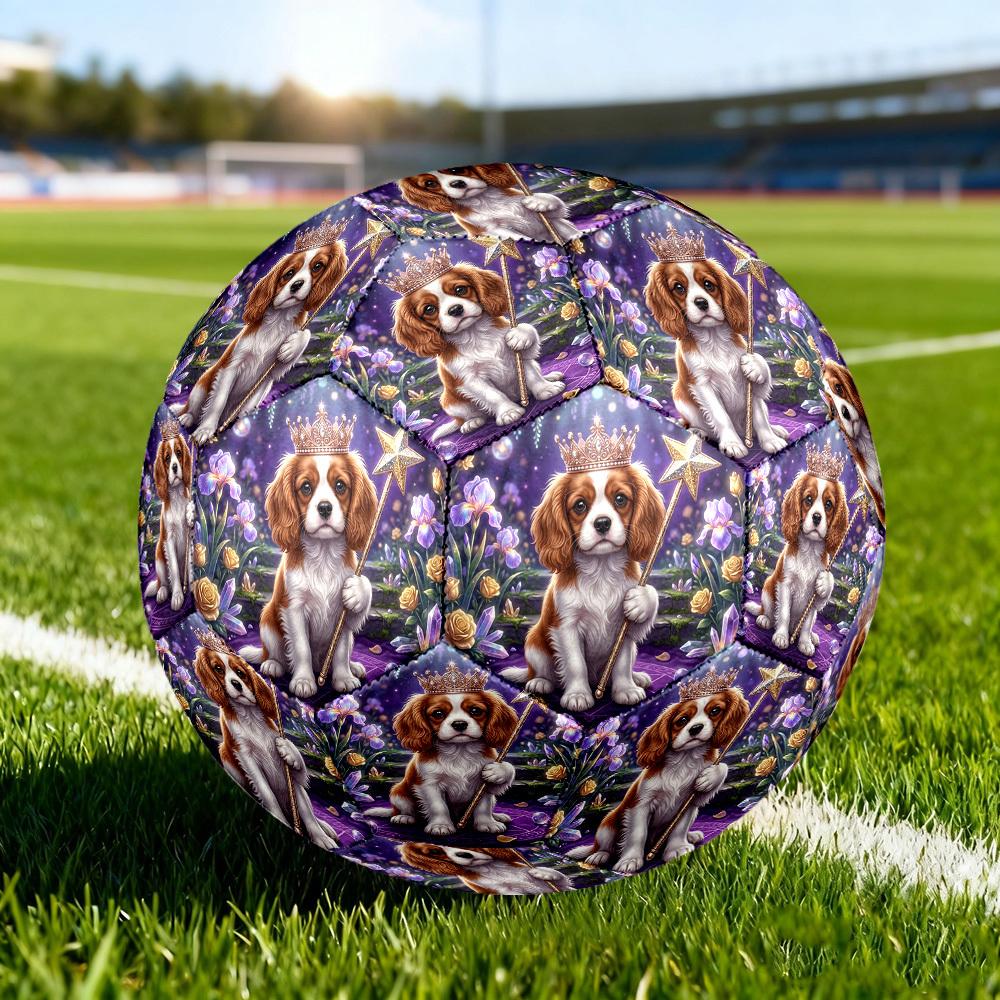 1pc Royal Canine Magic Size 5 Soccer Ball Professional Lightweight Durable Match Training Football Indoor &Outdoor Sports BallTraining Ball Y77