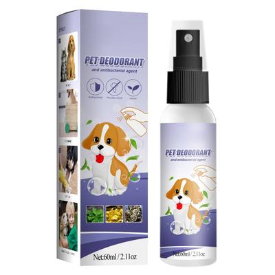 Psi – Péče o psa