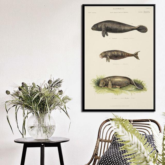 Ocean Sea Shell Fish Animal Canvas Painting Posters And Prints Wall Art Picture Vintage Life Chart Biology Decoration Home Decor