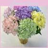 Petal Realistic 72 Soft Touch Artificial Hydrangea Flowers Wedding Decor Home