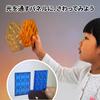 Edx Education Transparent Pattern Blocks | Tangram Play & Brain Training | Sensory Stimulation X Geometric Puzzle | Develops Vision with Light and Sha