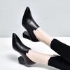 Fashion Spring and Autumn New Thick Heeled Women Shoes Fashion Black Pointed Toe Comfortable Shallow Mouth Slip on Pumps Single Shoes