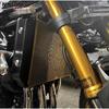 Z900 RS Motorcycle Radiator Grill Guard Protector Grille Cover Shrouds Cooler Protector For Kawasaki Z900RS CAFE 2021-2025 Z900