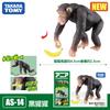 Tomica Cars Toys For Boys Holiday Gifts TOMY Domeka Anlia Animal Mini Simulation Movable Model Tiger Lion Cheetah Boy Toy