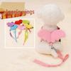 Angel Wings Harness Leash for Pets: Suitable for Rabbits, Cats, and Small Dogs