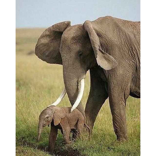 5D diamantová malba Vlčí měsíc Kulaté diamantové vyšívání Křížkový steh Mozaika vlastní kamínky