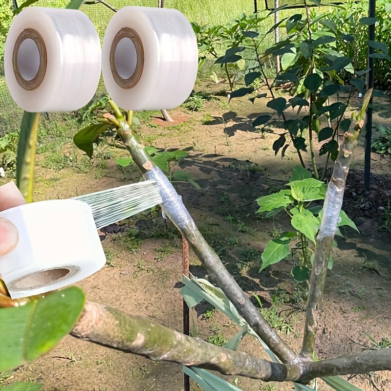 Nastro Adesivo Forte per Innesto Alberi da Frutto, Rotolo da 705,38 piedi - Pellicola Estensibile e Autoadesiva per Protezione e Avvolgimento Piante