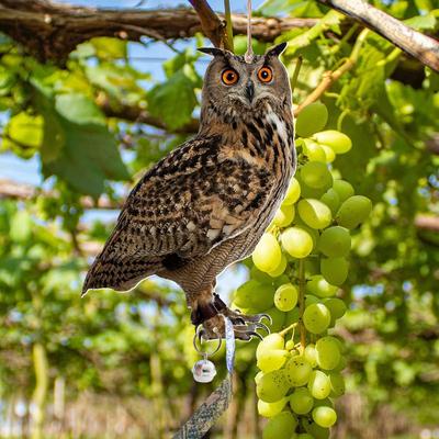 Hanging Bird Repellent Owl Bell Pendant Pastoral Orchard Bird Scare Pendant Outdoor Courtyard Decoration Wind Chime