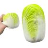 Miękka Zabawka do Ściskania w Kształcie Kapusty Napa Miękki Kształt Warzywa Squishy do Uwalniania Napięcia Fidget Toy