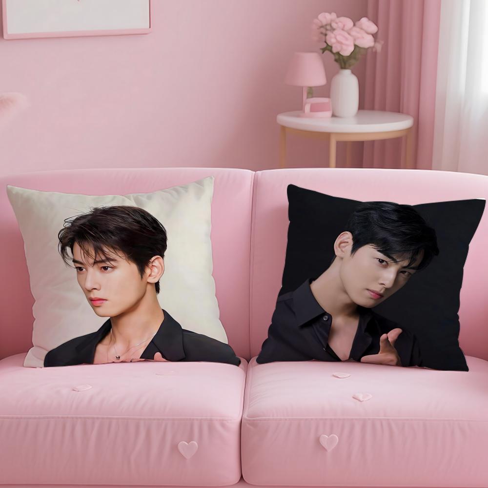 popular actor Cha Eun Woo Cushion Cover Soft  EasyWash Pillow Case  Versatile for Couch Bed Travel and Office