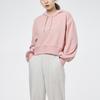 Puma Solid Color Casual Sports Hoodie Women hoodies Pink 845599-15