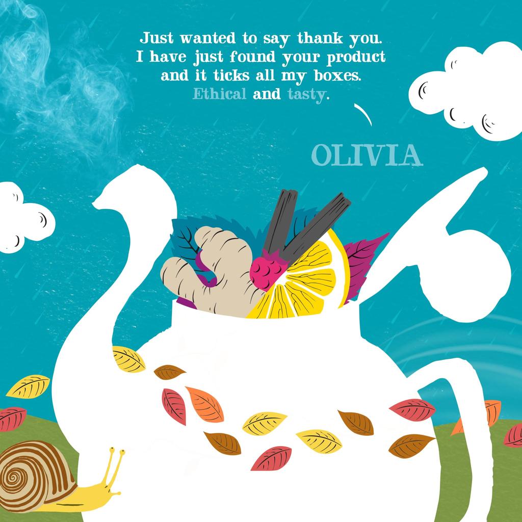 Clipper Assorted Herbal Tea 20P