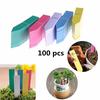 Candy Color 100pcs Home Bonsai Reusable Waterproof PVC Insert Land Card Garden Category Labels