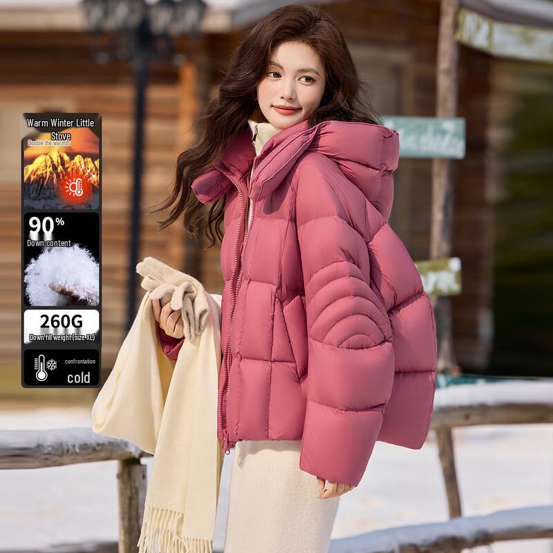 Bailuyu Women s Raglan Sleeve 90% Duck Down Short Puffer Jacket XL