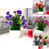 Camellia Sasanqua Miniature Artificial Plant Set With Flower And Pot For Home Decor And Gift