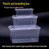 Reptile Tank: Versatile Habitat for Turtles, Silkworms, Spiders, Horned Frogs, Geckos, Lizards, and Snails