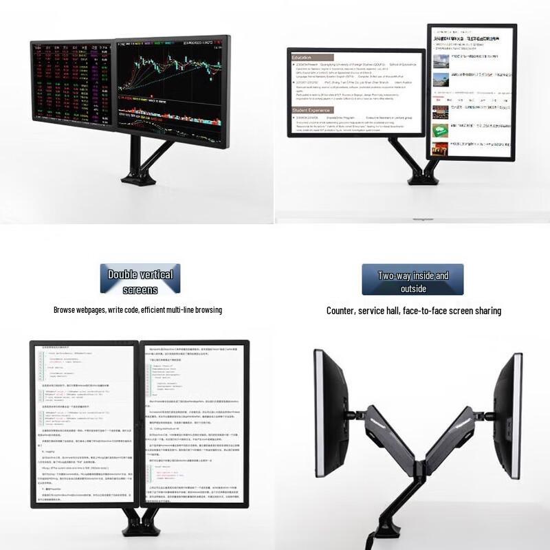 Loctek Dual Monitor Mount