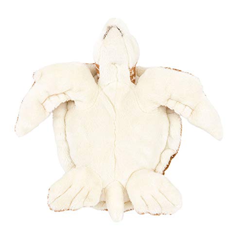 Colorata Loggerhead Sea Turtle Plush Toy (S Size/Soft Touch) Realistic Turtle Marine Animal Toy Doll Gift Present Birthday (Twice Checked) / Christmas