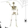 Halloween Outdoor Skeletons Realistic Posable Skeleton with Movable Joints Spooky Photo Props Garden Decor Decorative Party