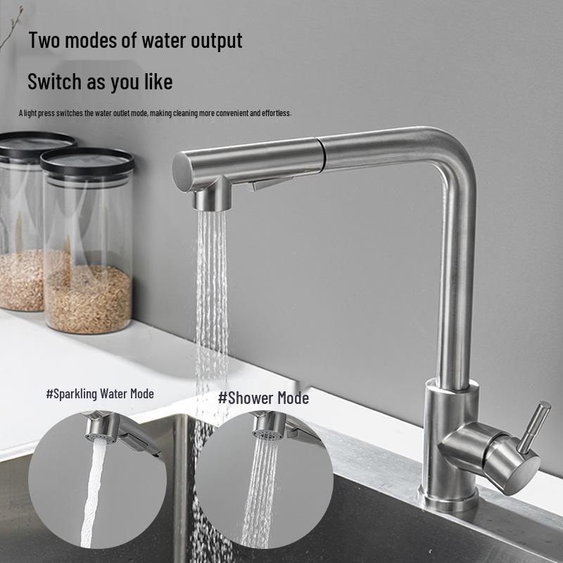 Stainless Steel Pull-out Kitchen Faucet with Dual-Function Telescopic Rotating Spout for Vegetable Sink (Hot & Cold Water)