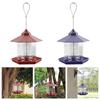 Deluxe Hanging Bird Feeder - Garden Avian Sanctuary