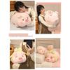 Soft Pig Plush Pillow Cute Pink Pig Hugging Pillow Stuffed Animal Throw Cushion Birthday Gift for Kids Girls