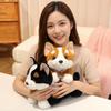 26/32cm Peluche Corgi Carino Giocattolo di Peluche Giallo Nero Seduto Sdraiato Animale Cartone Animato Bambola Peluche Morbido Compagno Regalo Rassicurante