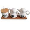 Xidian Ceramic Seasoning Jar Set with Base