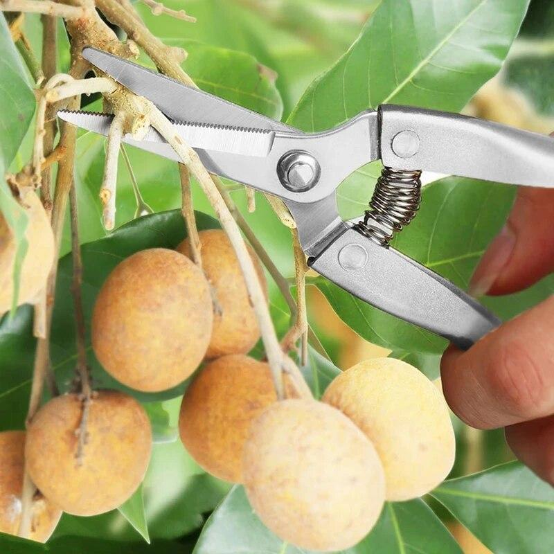 Edelstahl-Gartenschere, Gartengeräte, Schere, Griff aus Zinklegierung, Obstbaum-Schere für raue Zweige
