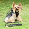 Box Logo Body Harness Adjustable Size for and Easy Size X-girl Training, Walks, Outings, Anti-Pulling, On/Off (Black, M)