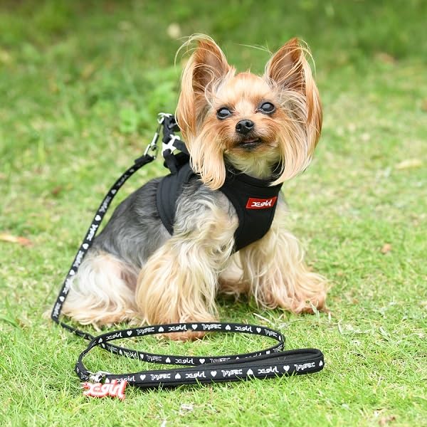 Box Logo Body Harness Adjustable Size for and Easy Size X-girl Training, Walks, Outings, Anti-Pulling, On/Off (Black, M)