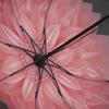 Automatic Umbrella with Print, NEED4YOU
