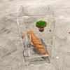 Transparent Acrylic Jumping Spider Enclosure Mantises Terrarium Geckos Insect Breeding Box for Small Animals Hatching Case