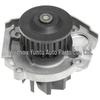 Water Pump 68385387AA for Spider 500, 500L, Dart, Mito, Renegade