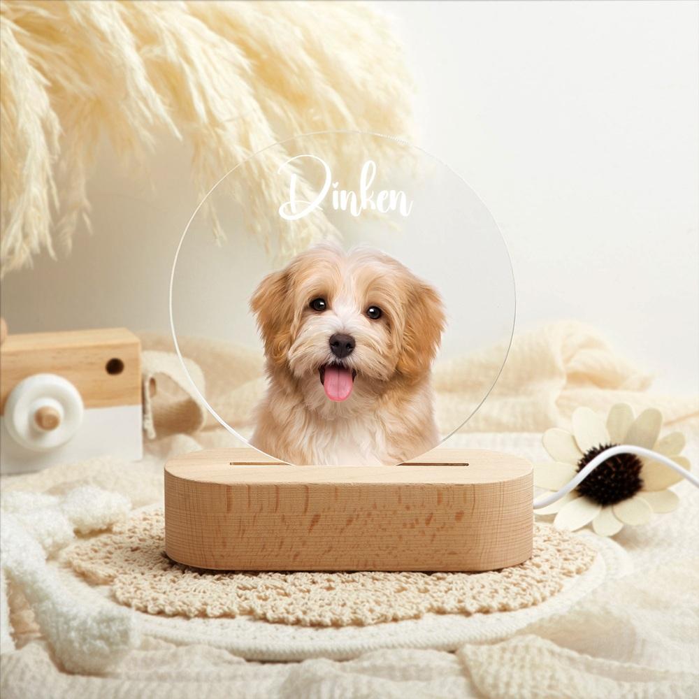 Custom Acrylic Pet Portrait Glow Personalized with Pet Photo Text Luminous Home Decor Pet Unique Memorial Keepsake for Pet Owner