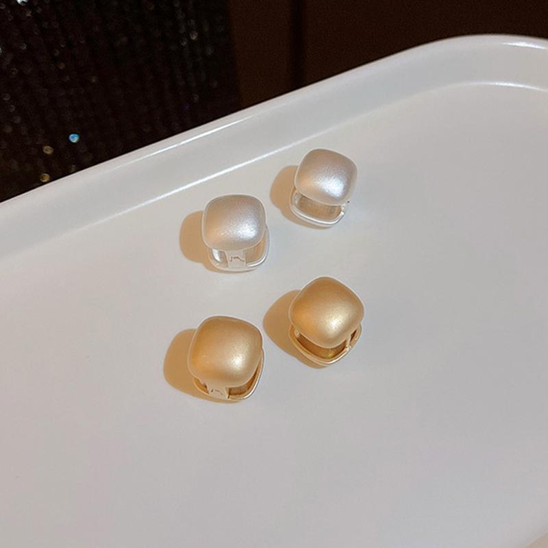 Trendy Brushed Matte Texture Geometric Earrings for Women Japanese and Korean Fashion Temperament Light Luxury Versatile Earring