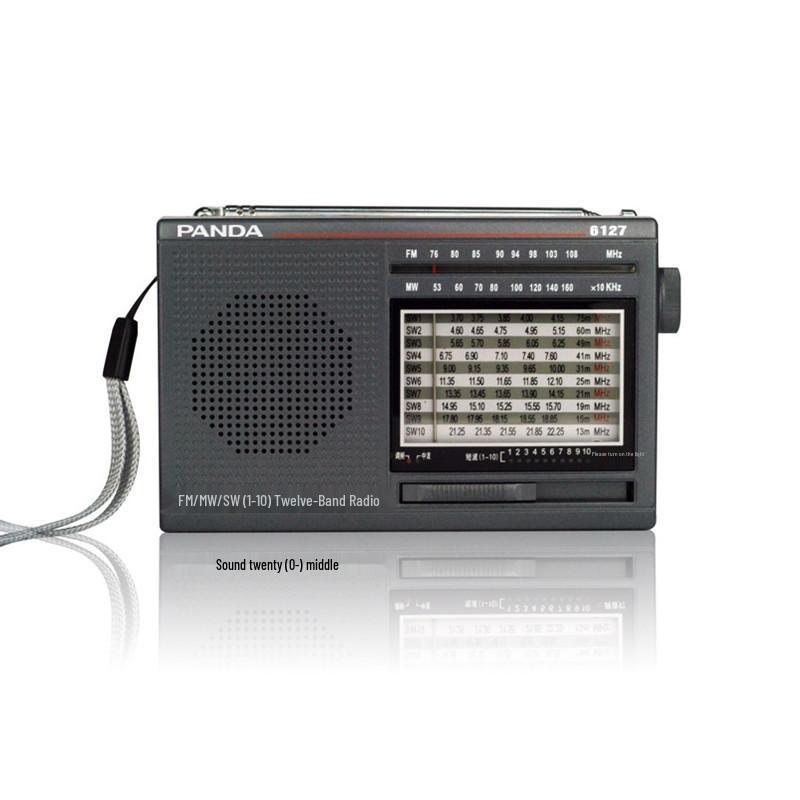 

PANDA 6127 All-Band Portable Radio with Large Screen Standard