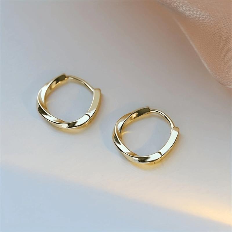 1 Pair of Fashionable and Simple Geometric Circular Earrings, Light Luxury High-end Ear Buckles, Suitable for Women's Daily Party Wear