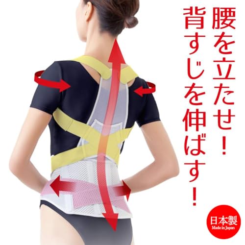 Alphax Doctor's Posture Corrector Belt for Waist and Back Support, LL-3L, Made in Japan
