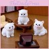 Adorable Resin Dog Figures Blind Box Miniature Garden And Desktop Decor