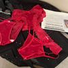 Women's Satin Lace Seamless Sheer Mesh Cotton Crotch Sexy Low Rise Panties