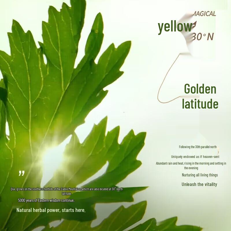 Breo Portable Electronic Moxibustion Kit A2 Series