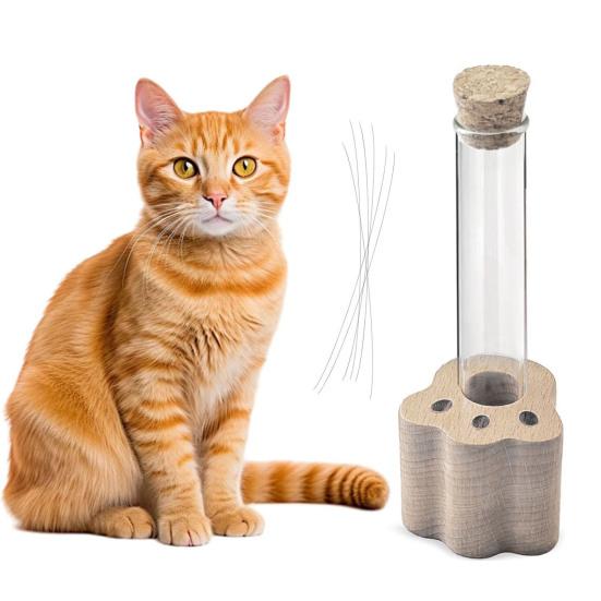 Gedenkflasche für Tierhaare Transparente Röhre und Holzsockel mit Katzenpfote Erinnerungsflasche zum Sammeln und zur Aufbewahrung von Haustiererinnerungen